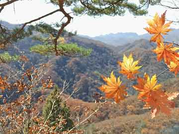 信阳辉县旅游费用,信阳辉县旅游费用多少